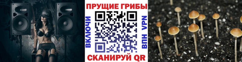 Купить Арсеньев Галлюциногенные грибы Magic Shrooms