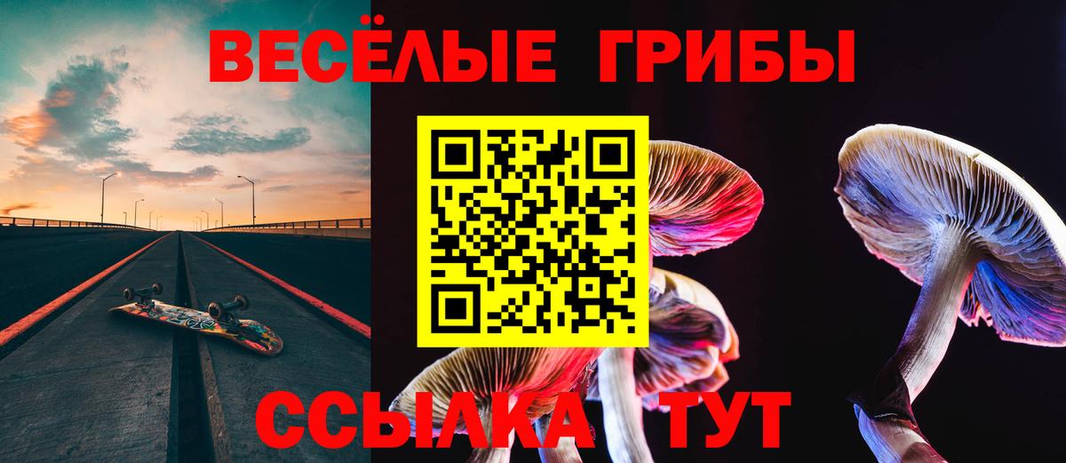 Галлюциногенные грибы Psilocybine cubensis Арсеньев