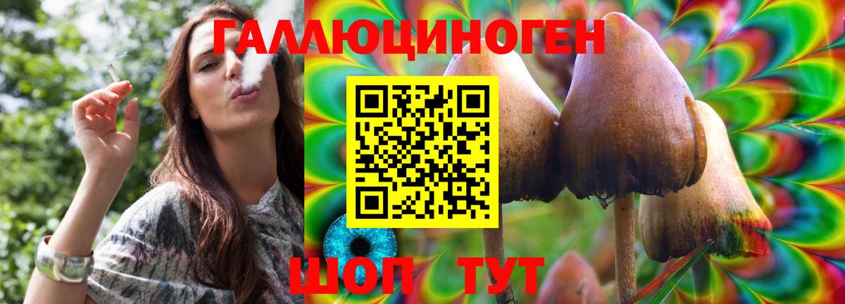 Псилоцибиновые грибы Psilocybe Арсеньев