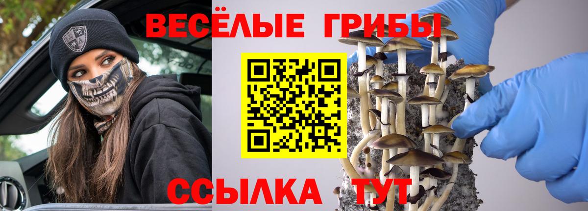 Псилоцибиновые грибы ЛСД  Псилоцибиновые грибы MAGIC MUSHROOMS  Арсеньев 