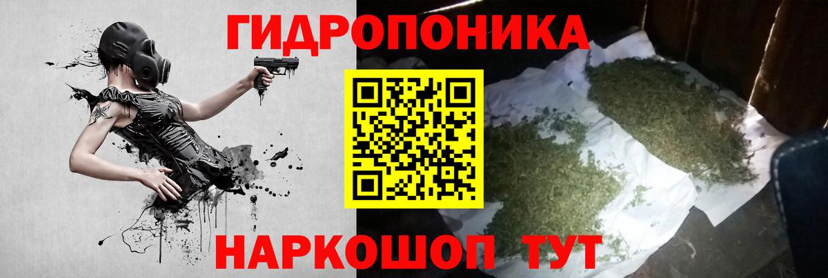 Шишки марихуана конопля  Арсеньев  Конопля гибрид  Бошки Шишки план 